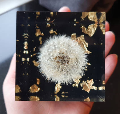 Dandelion Resin Cube Top View by Mariannes Hobby and Painting