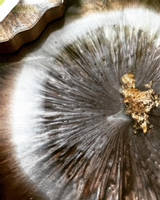 Brown, White and Gold Agate Coaster Close Up by Ageode Thumbnail