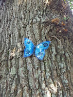Blue-Resin-Butterfly-by-Paul-Chapman Thumbnail