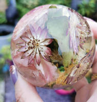 Floral Resin Spheres Thumbnail