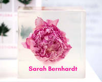 Primrose Hall Sarah Bernhardt Peonies in Resin by Ambers Rose Thumbnail