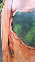 Resin and Wood Surfboard Close Up Thumbnail