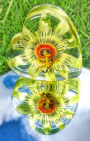Steccles-Design-Passion-Flower-Resin-Casting Thumbnail