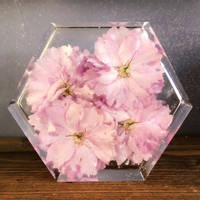 Pinks in Resin Hexagon by Bea_utiful Creations Thumbnail