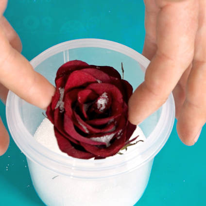 How To Dry Roses in Silica Crystals – Sustain My Craft Habit
