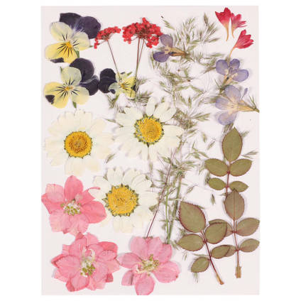 Dried Flower Pack 24 Piece