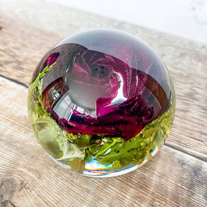 Resin Rose Paperweight by E.B Flower Preservation