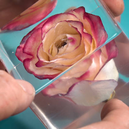 Pink Rose Resin Cube