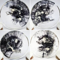 Black and White Resin Coasters by Kurious Wood Thumbnail