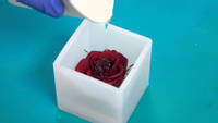 Pouring Resin over Flower into Silicone Cube Mould Thumbnail