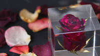 Red Rose Resin Cube Paperweight Thumbnail
