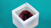 Pouring Resin into Silicone Cube Mould Red Rose Casting Thumbnail